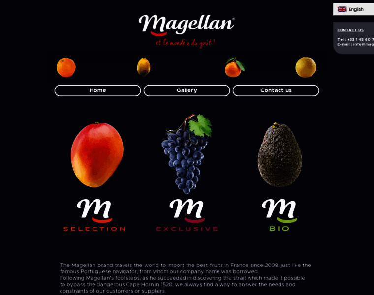 Magellan-import.com thumbnail