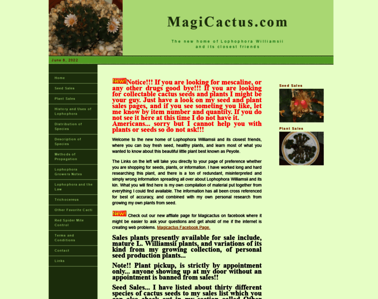 Magicactus.com thumbnail