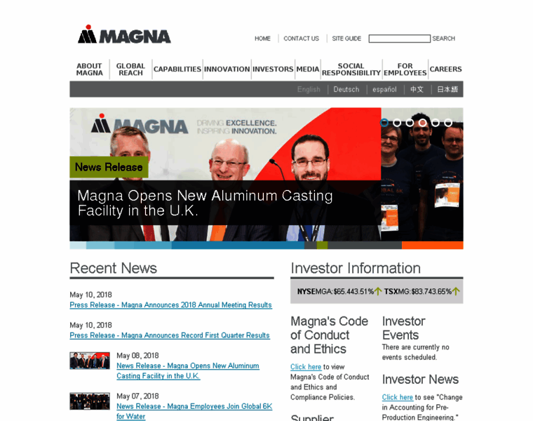Magnaint.com thumbnail