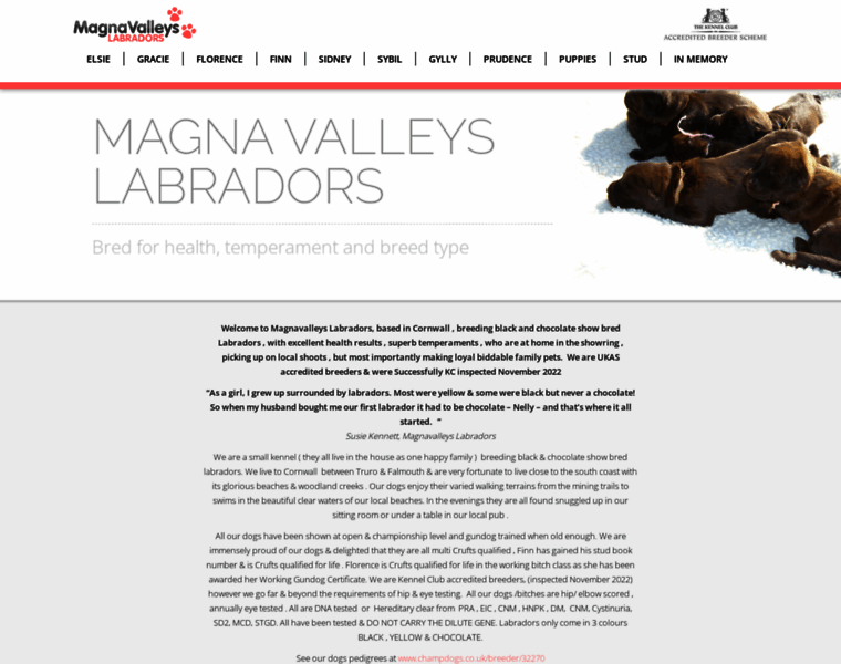 Magnavalleyslabradors.co.uk thumbnail