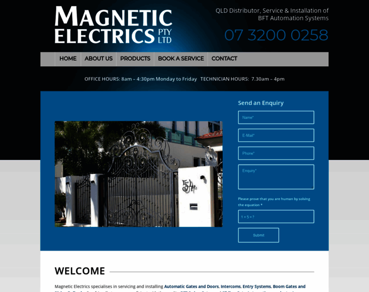 Magneticelectrics.com thumbnail
