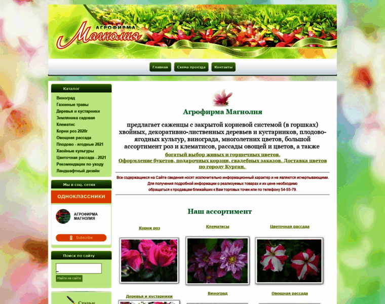 Magnolia45.ru thumbnail