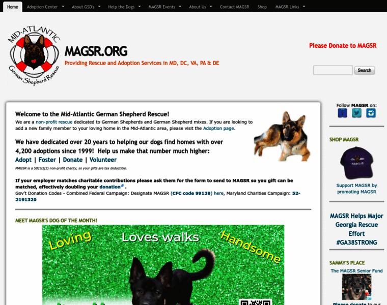 Magsr.org thumbnail