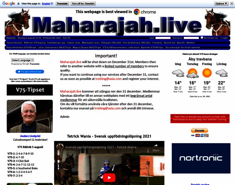 Maharajah.live thumbnail