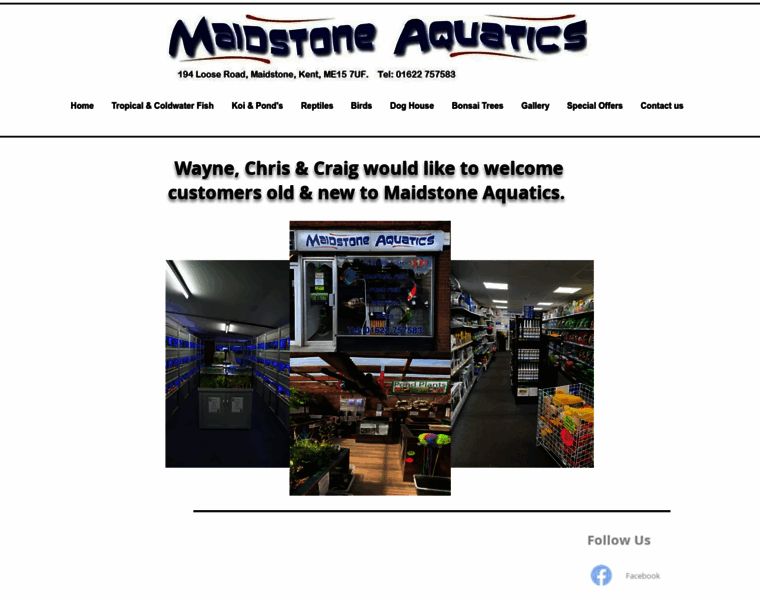 Maidstoneaquaticsonline.co.uk thumbnail