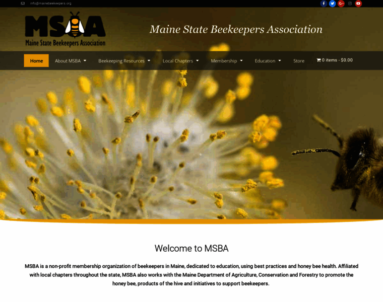 Mainebeekeepers.org thumbnail