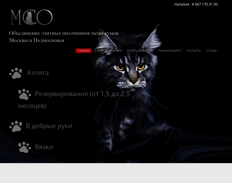Mainecoonomania.ru thumbnail
