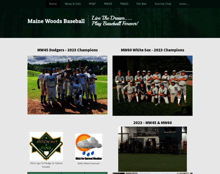 Mainewoodsbaseball.com thumbnail