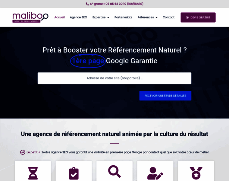 Maliboo-referencement.fr thumbnail