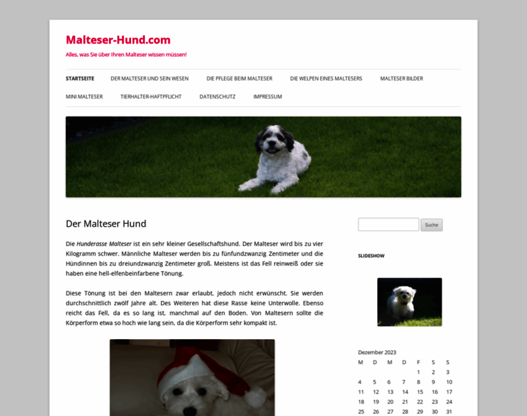 Malteser-hund.com thumbnail
