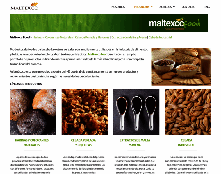 Maltexcofood.com thumbnail