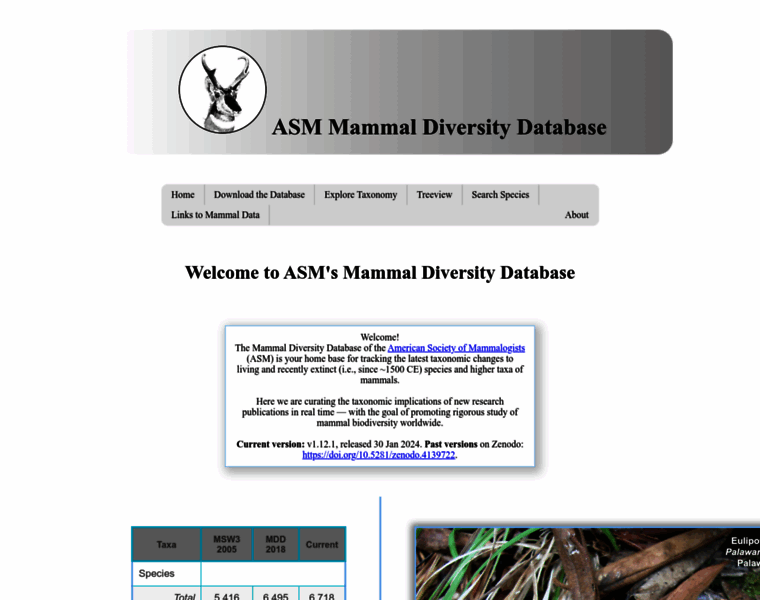 Mammaldiversity.org thumbnail