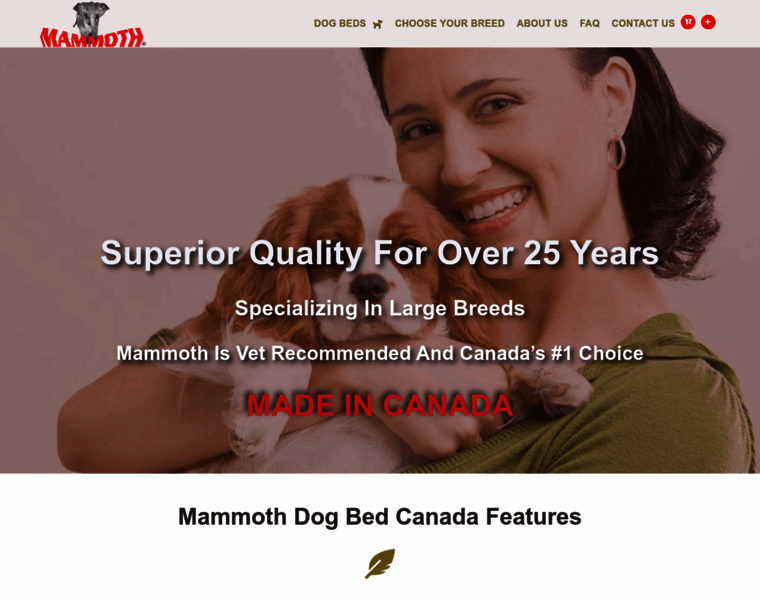 Mammothoutlet.ca thumbnail