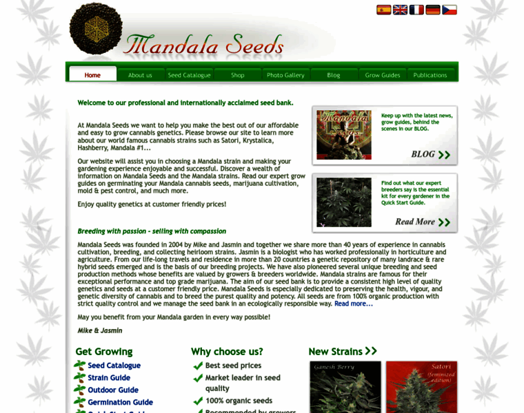 Mandalaseeds.com thumbnail