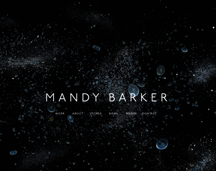 Mandy-barker.com thumbnail