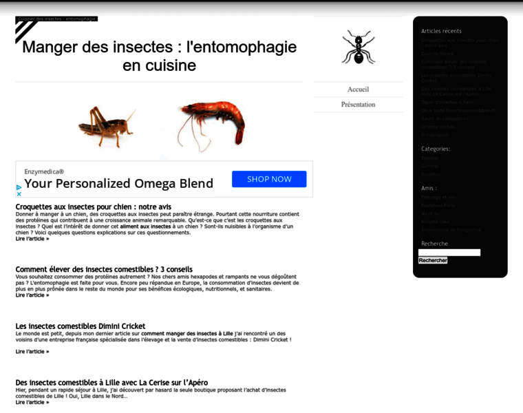 Manger-insectes.fr thumbnail