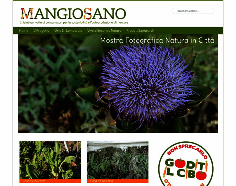 Mangiosano.org thumbnail