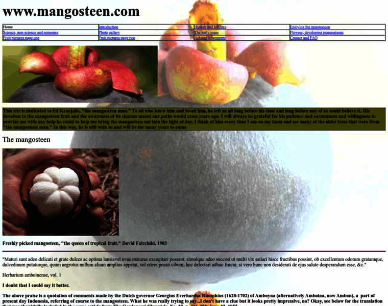 Mangosteen.com thumbnail