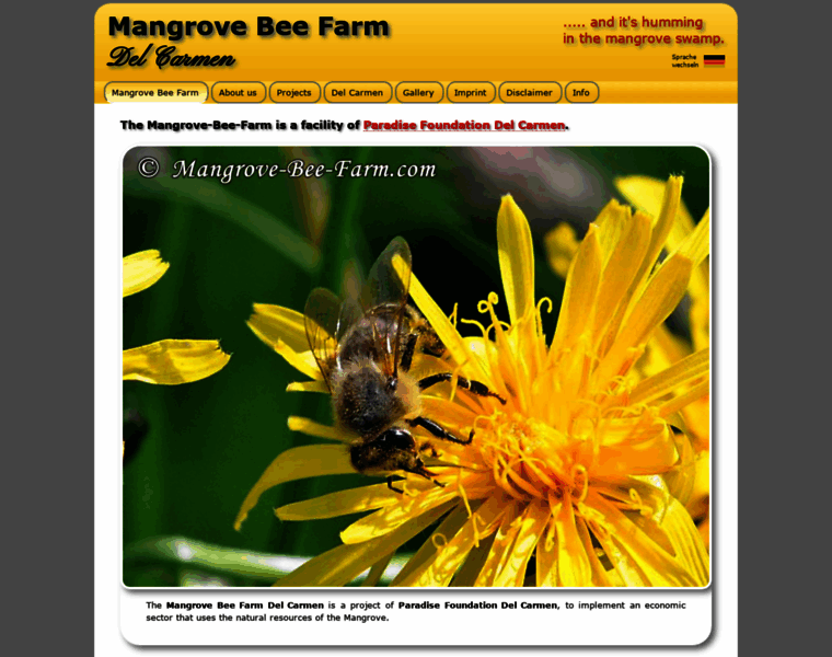 Mangrove-bee-farm.com thumbnail