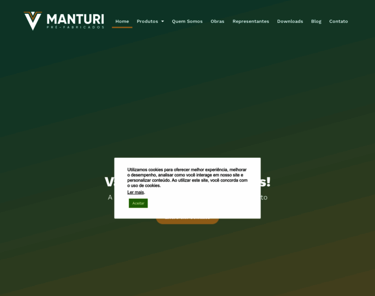 Manturi.com.br thumbnail