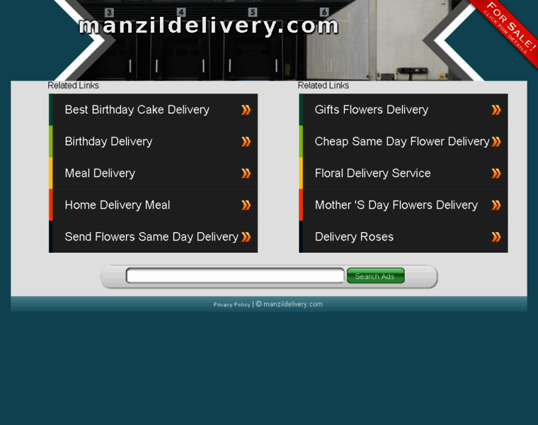 Manzildelivery.com thumbnail