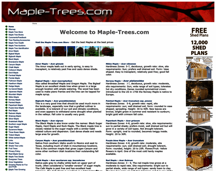 Maple-trees.com thumbnail