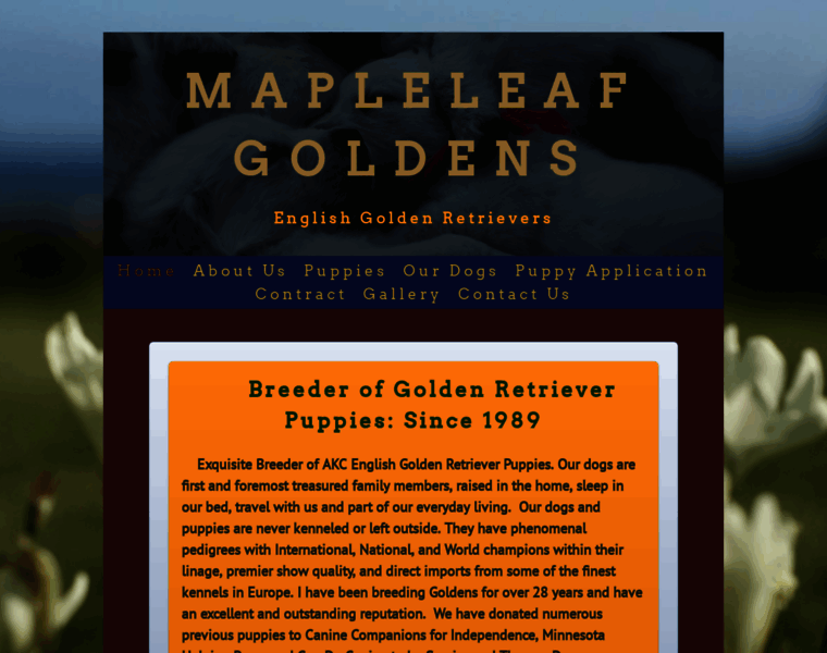 Mapleleafgoldens.com thumbnail