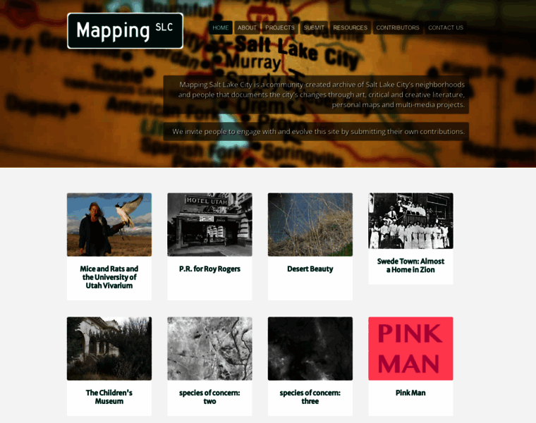 Mappingslc.org thumbnail