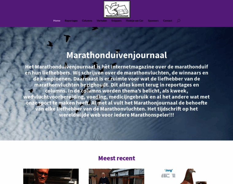 Marathonduivenjournaal.nl thumbnail
