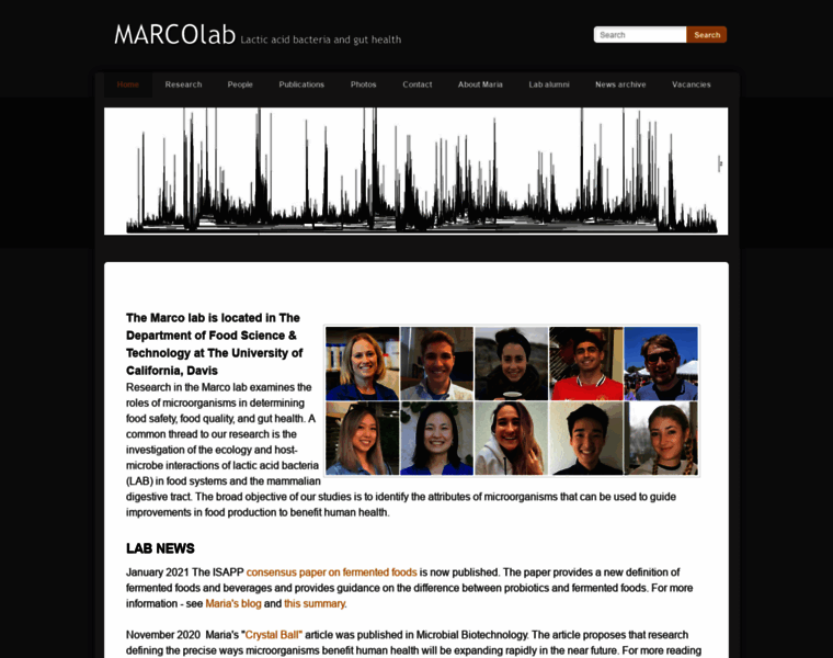 Marcolab.net thumbnail
