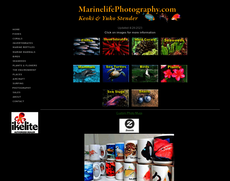 Marinelifephotography.com thumbnail