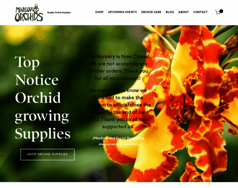 Marlowsorchids.com thumbnail