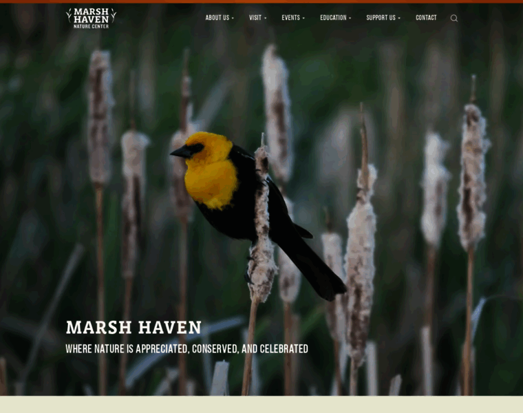 Marshhaven.org thumbnail