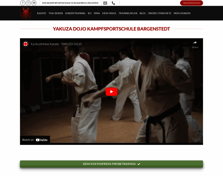 Martial-arts-insight.com thumbnail