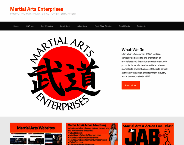 Martialartsenterprises.com thumbnail