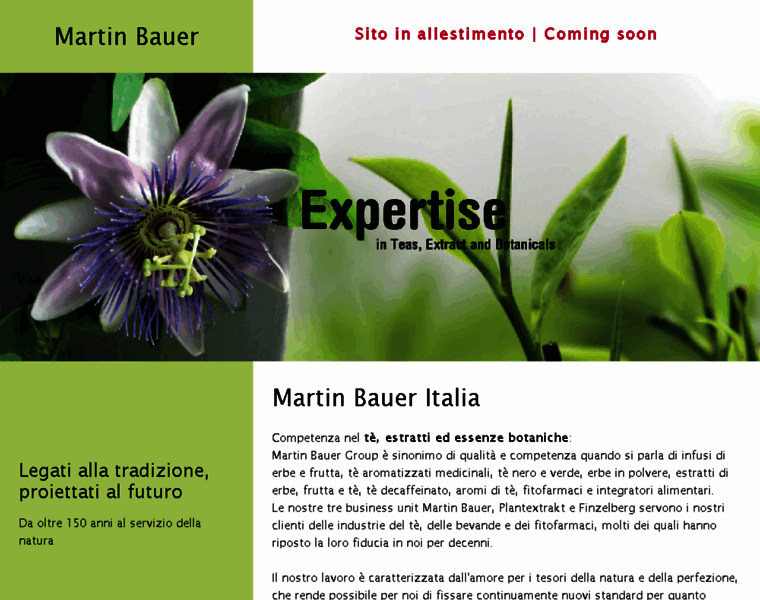 Martin-bauer.it thumbnail
