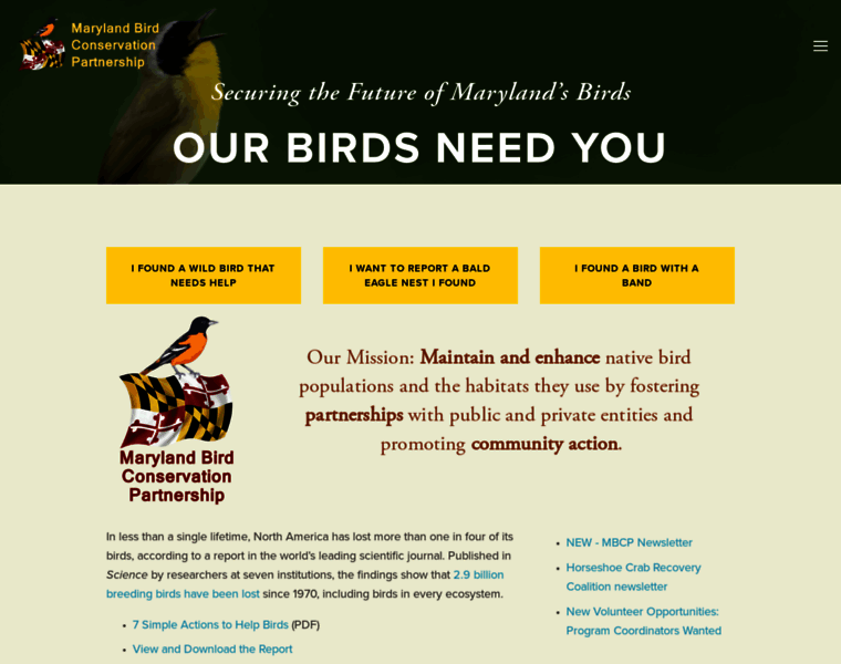 Marylandbirds.org thumbnail