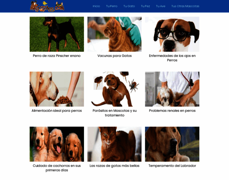 Mascotass.com thumbnail