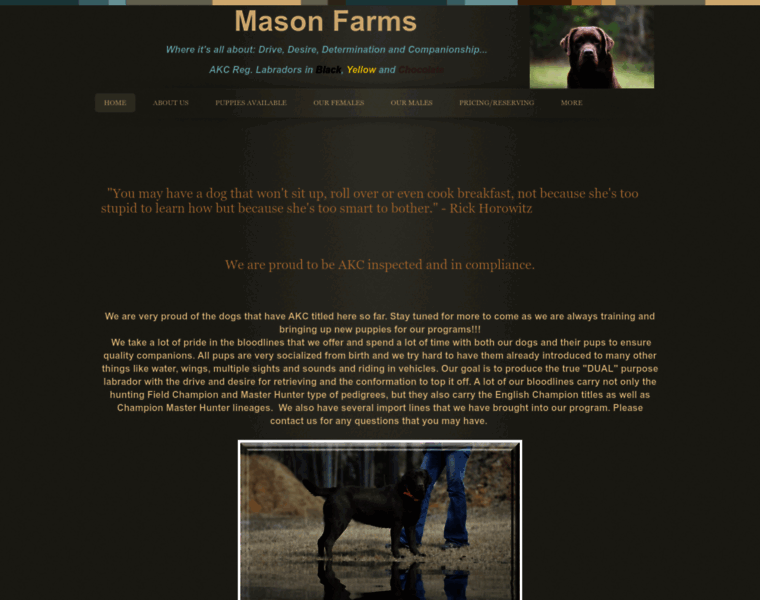 Masonsfarms.com thumbnail