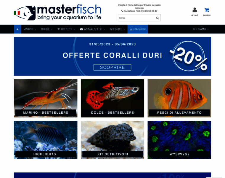 Masterfisch.it thumbnail