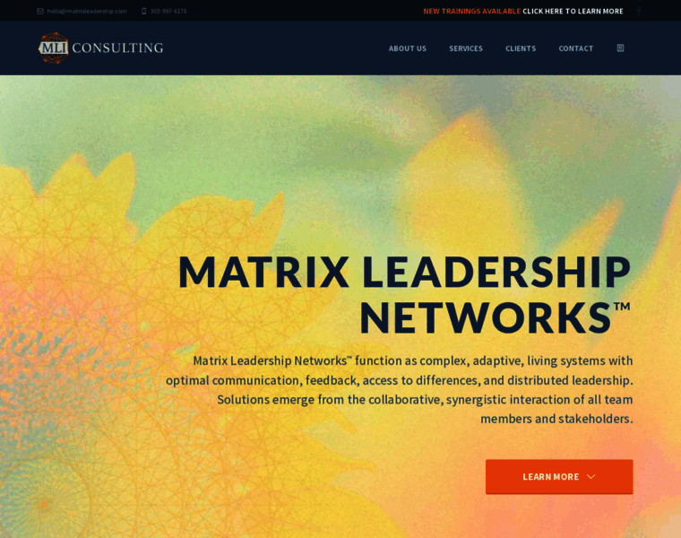 Matrixleadership.org thumbnail