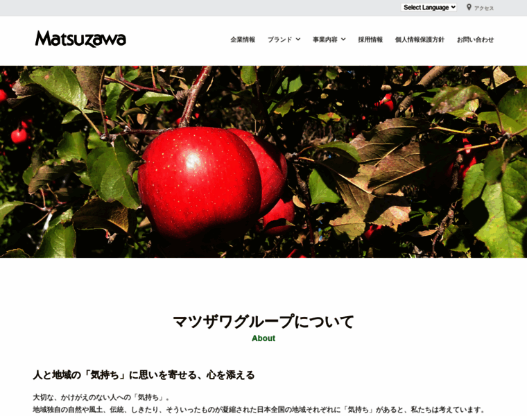 Matsuzawa.gr.jp thumbnail