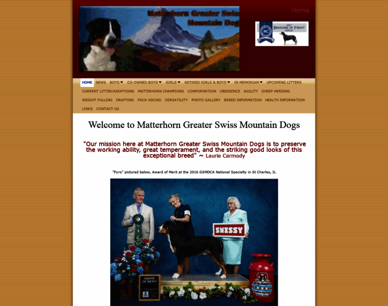 Matterhorngsmd.com thumbnail