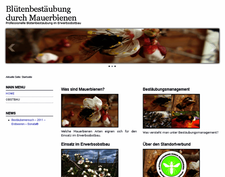 Mauerbienen-im-erwerbsobstbau.de thumbnail