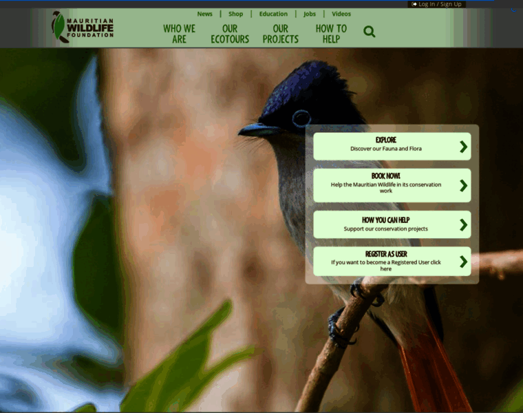 Mauritian-wildlife.org thumbnail