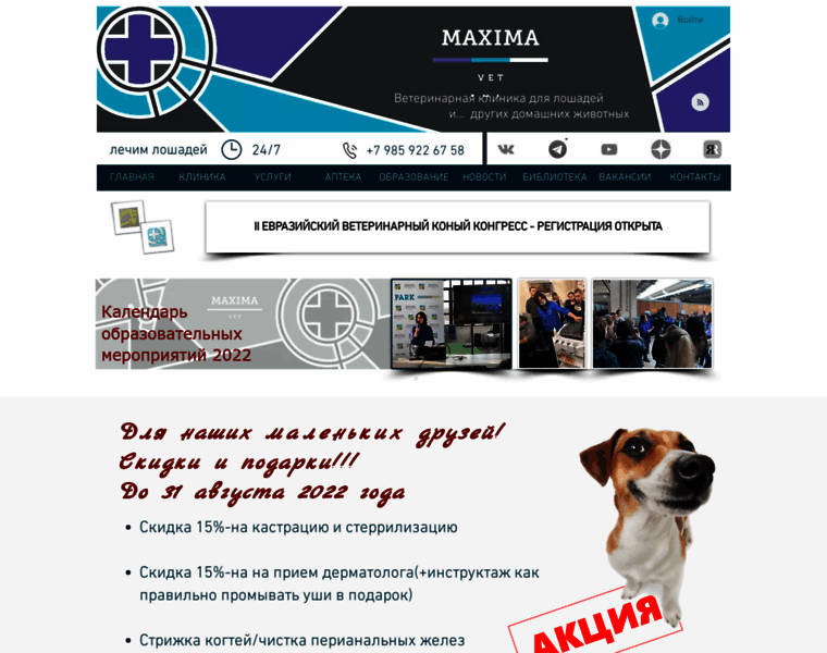 Maximavet.ru thumbnail