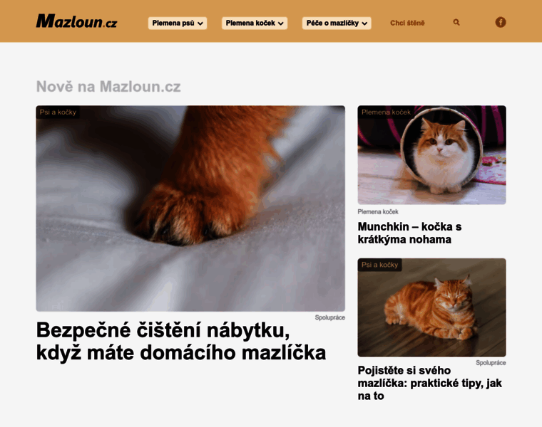 Mazloun.cz thumbnail