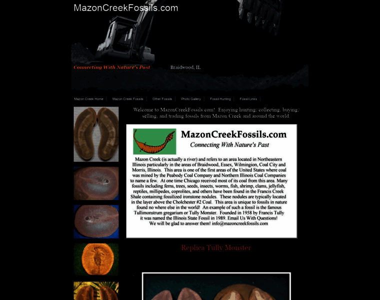 Mazoncreekfossils.com thumbnail