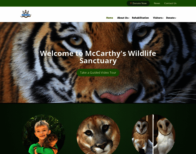 Mccarthyswildlife.com thumbnail