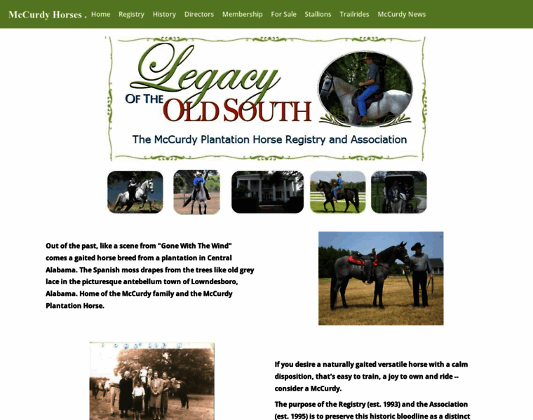 Mccurdyhorses.com thumbnail